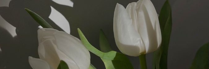 eeemm_1's profile banner image