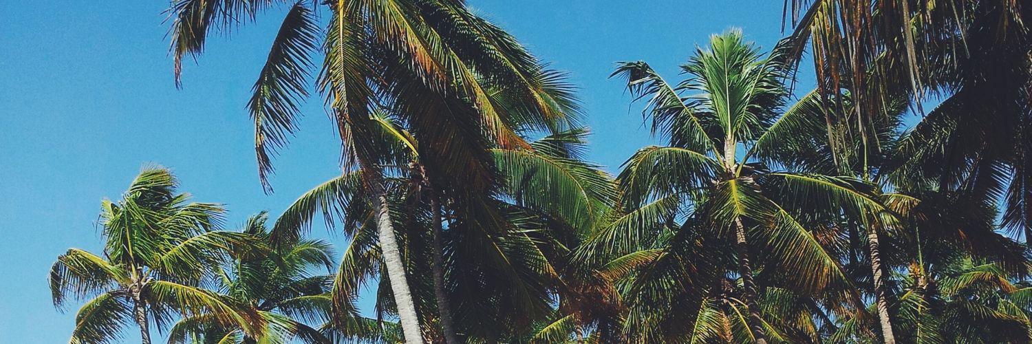 nancyelopezma's profile banner image