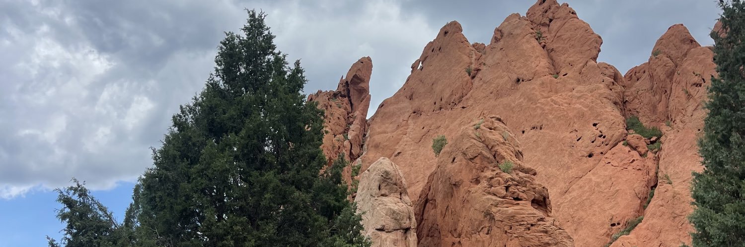 Mackenzie Stafford banner