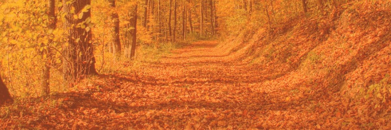 _LoveTraveling_'s profile banner image