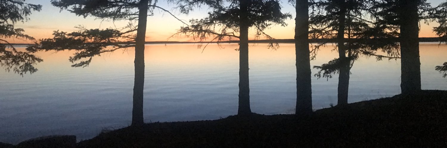 Coco Sinclair banner