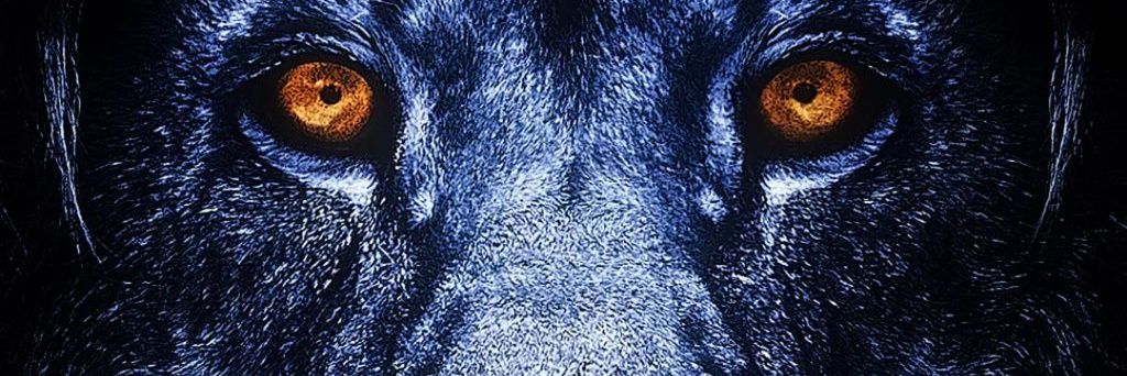 chuks_onoh's profile banner image