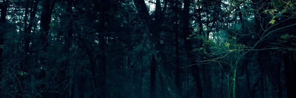 julia_kn7's profile banner image