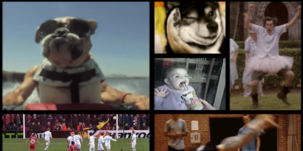 GifSpot's profile banner image