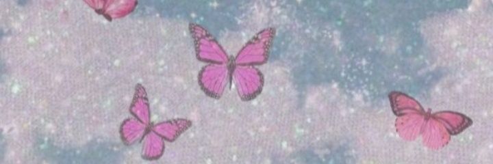 aline_bpal's profile banner image