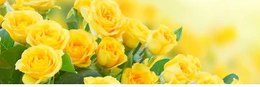 hatuey2013's profile banner image