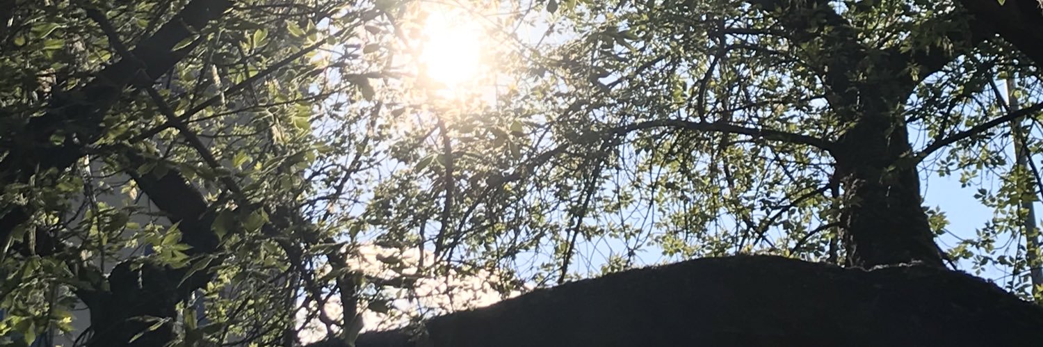 /u/55 on Twetch.com - Vincent Riddell banner