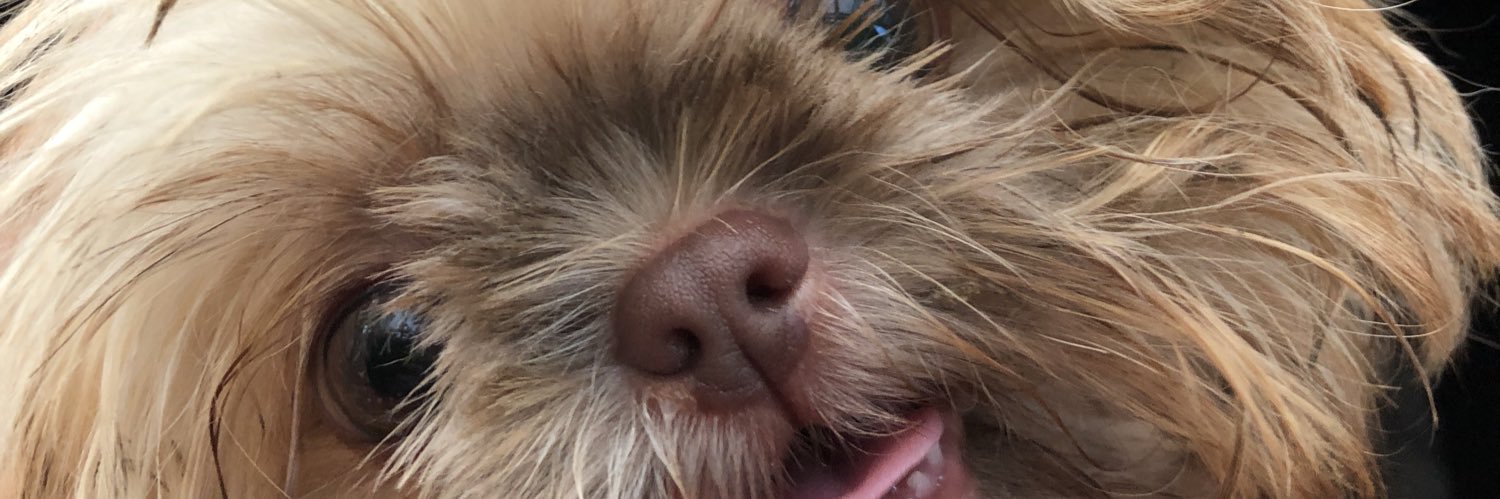 PowderpuffPep's profile banner image