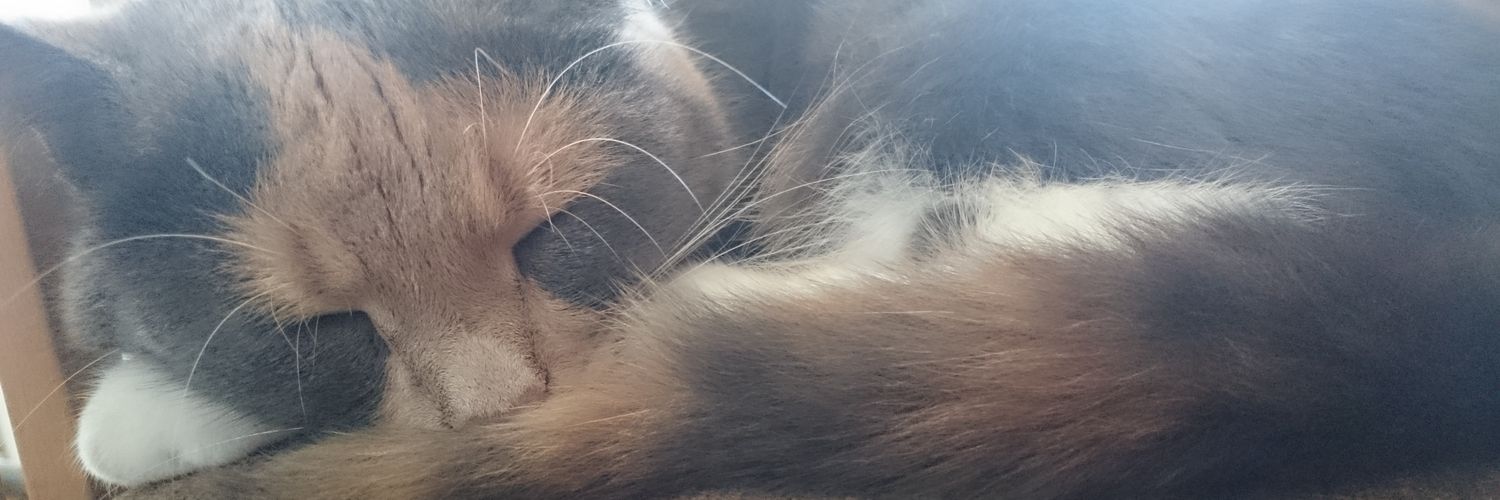 ShantiHandMade's profile banner image