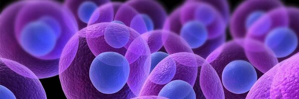 ScienceCapital Profile Banner