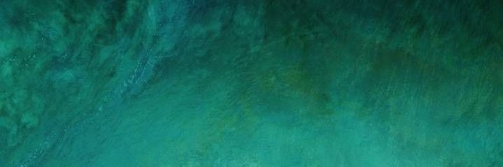FerranteAlec's profile banner image