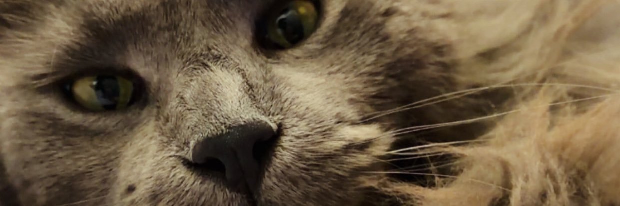 kyriium's profile banner image