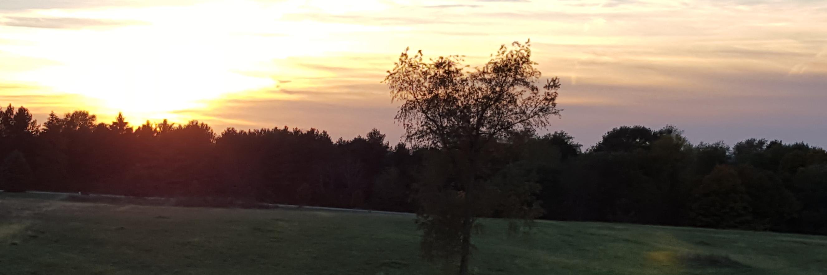 RickColpitts61's profile banner image