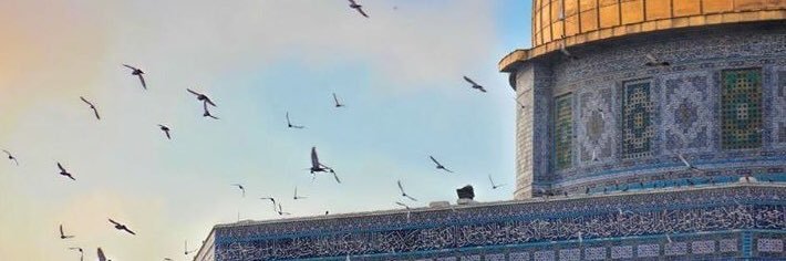Doha_R_Qassem's profile banner image