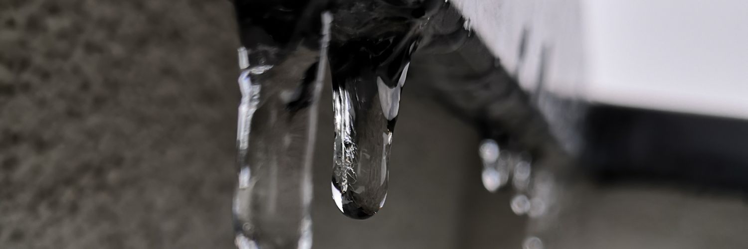 Naashw's profile banner image
