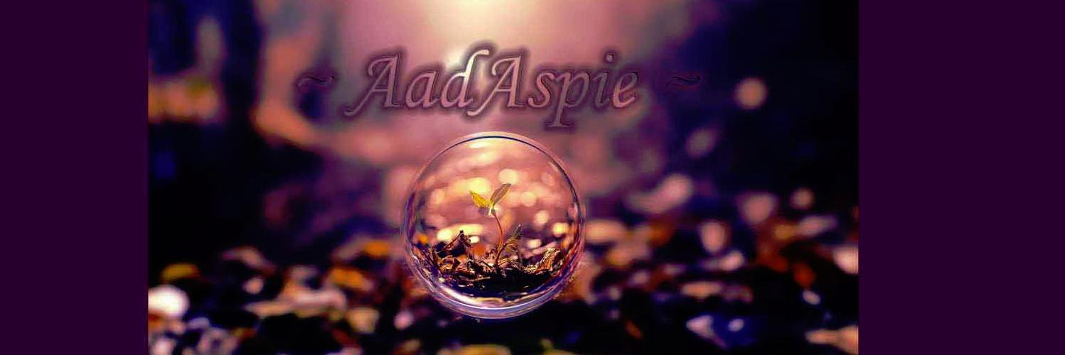 ASteK3L0's profile banner image