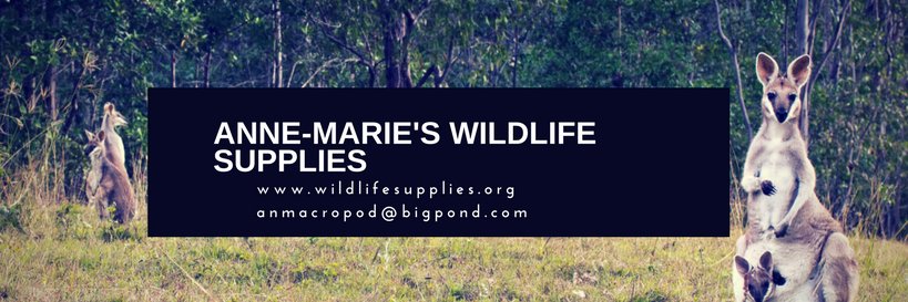 anmacropod's profile banner image