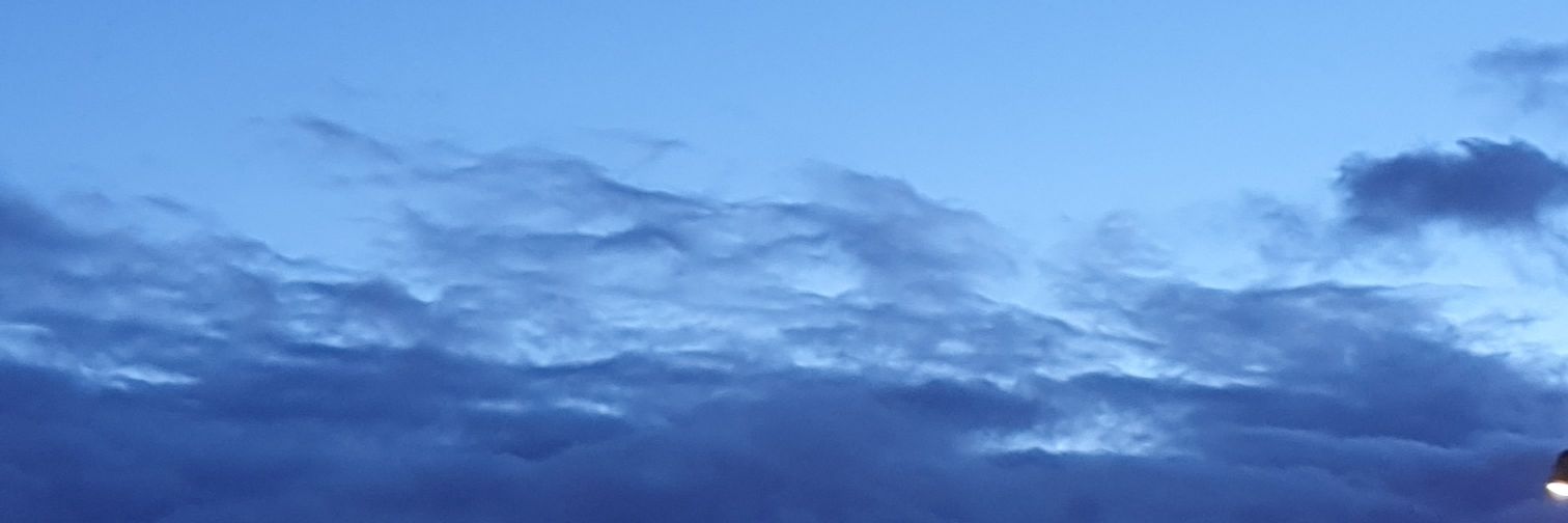 Amanda R.P. 🔻🏳️‍🌈 banner