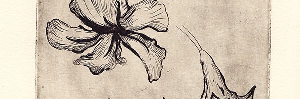 albvmf_'s profile banner image