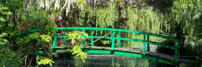 Damss 🍉🦇 banner