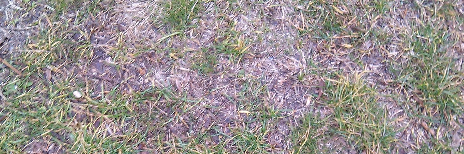 yasemiinvural's profile banner image