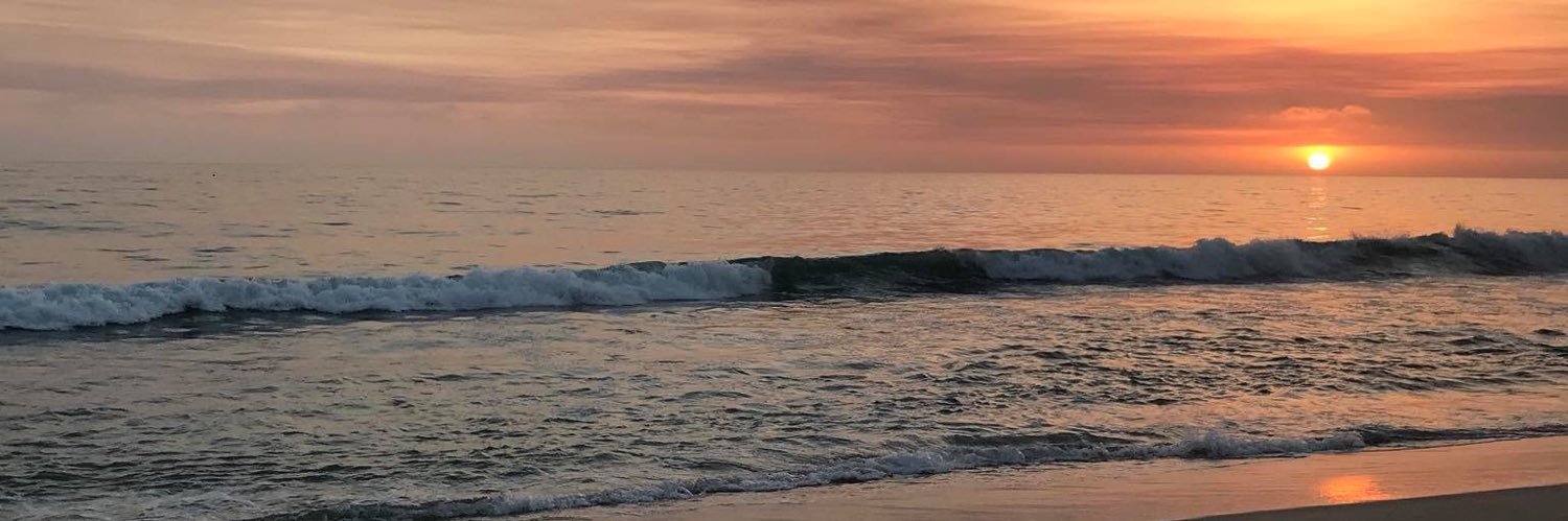 Sarah_Shepherdd's profile banner image
