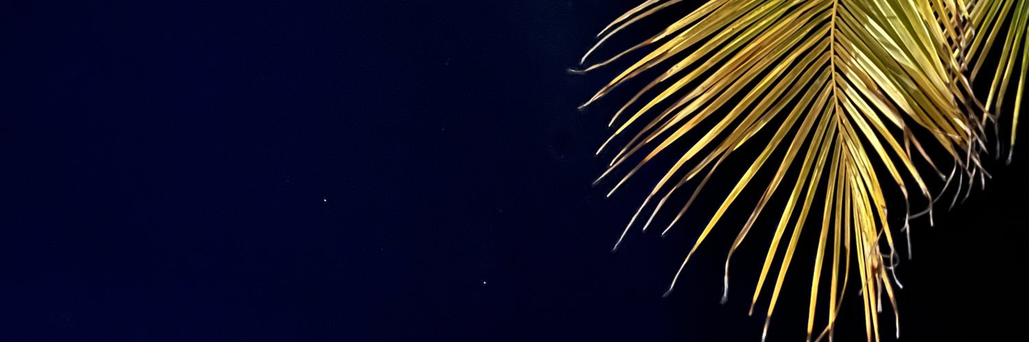 fran_campisi's profile banner image