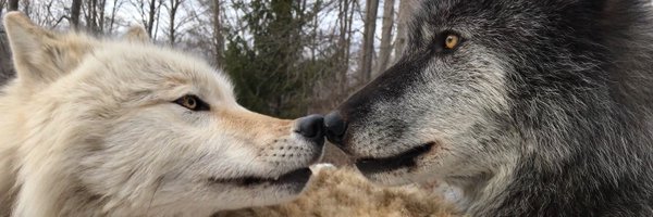 BusraBurcin Profile Banner