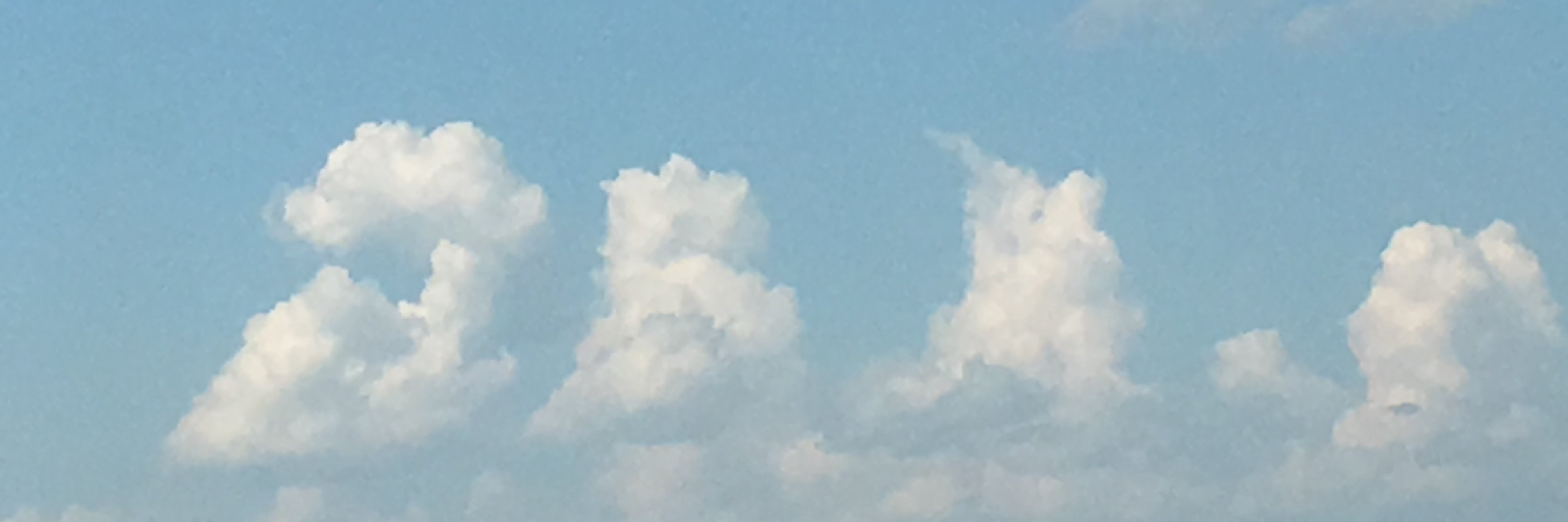tan_bao's profile banner image