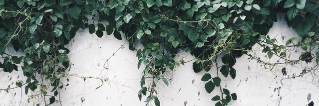 shton333's profile banner image