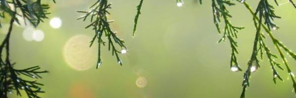 Philani banner