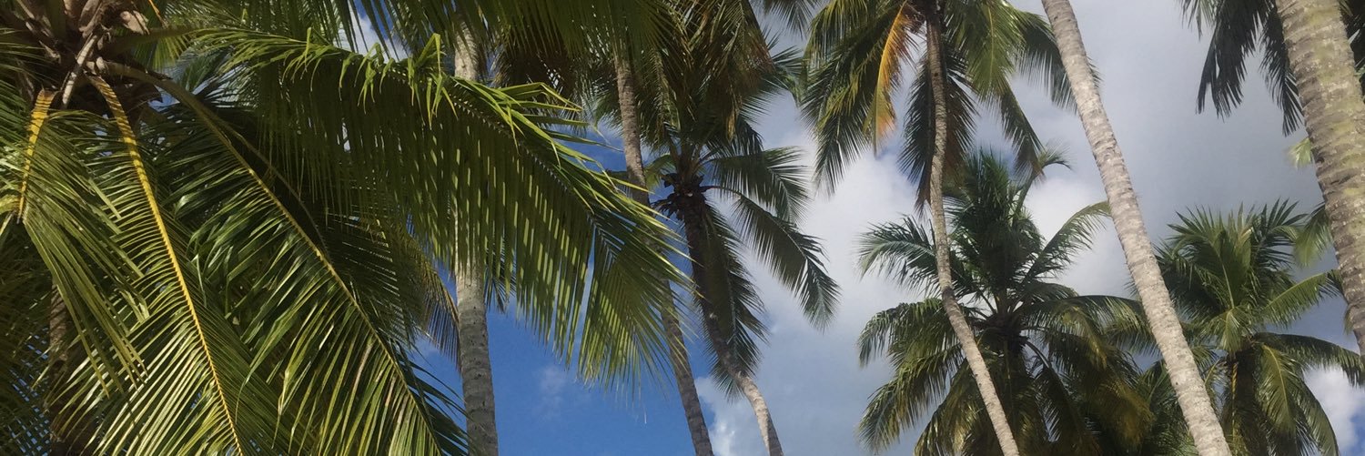_MollieMay's profile banner image