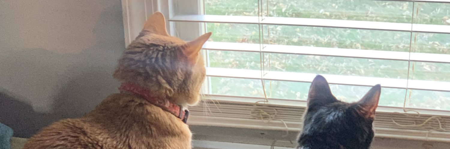 blank_erin's profile banner image