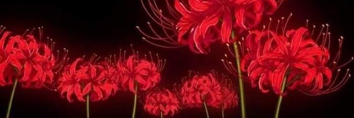 sofi_tebes's profile banner image