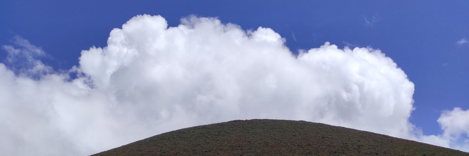 rzdannisa's profile banner image