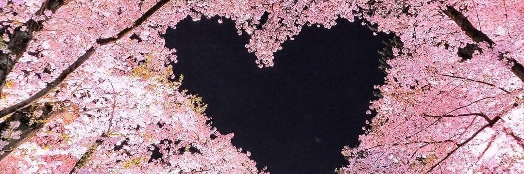 ccamposs_'s profile banner image