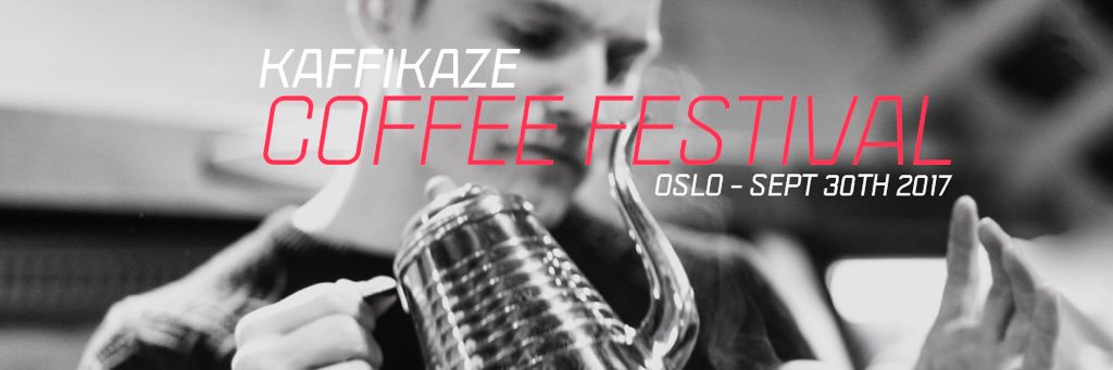 Ingri M. Johnsen banner