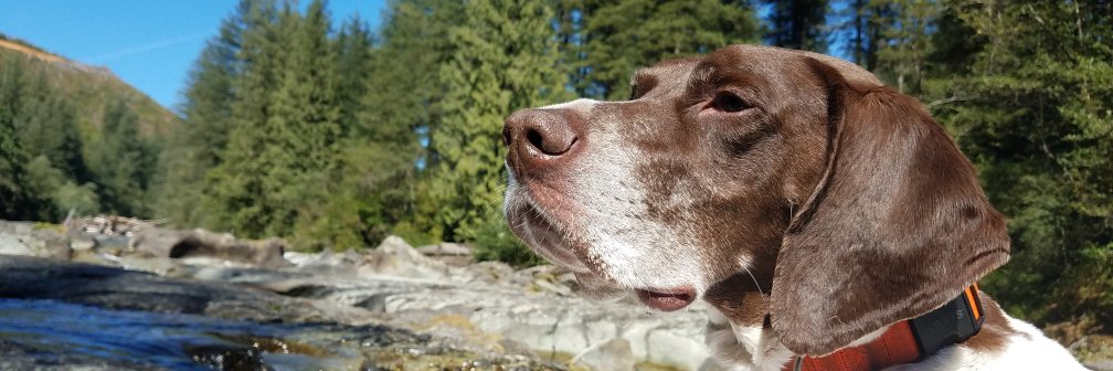 ErinMerz's profile banner image