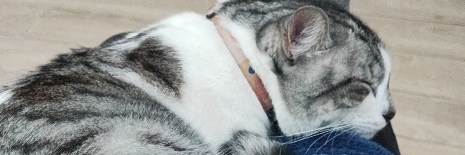 Benjamín Prado banner