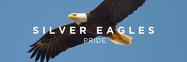 HVT_SilverEagle Profile Banner