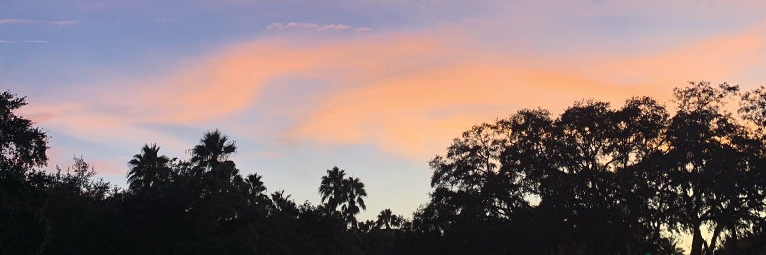 abbyframe_'s profile banner image