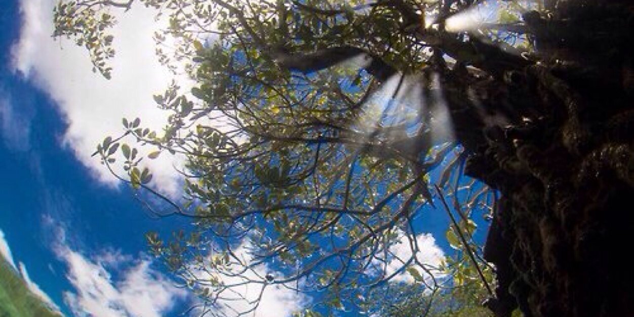 redonrobi's profile banner image
