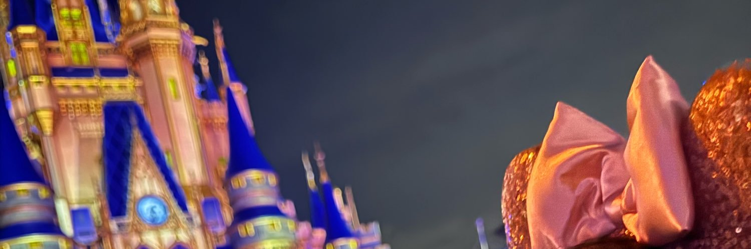 larissadepaz's profile banner image