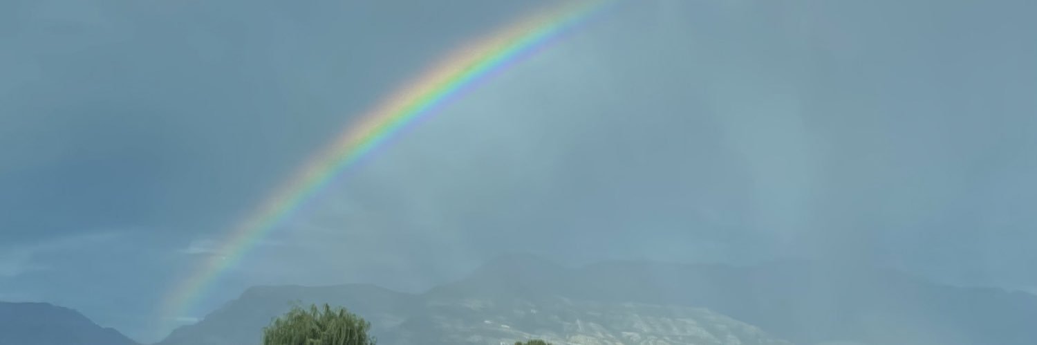 emilyncan's profile banner image