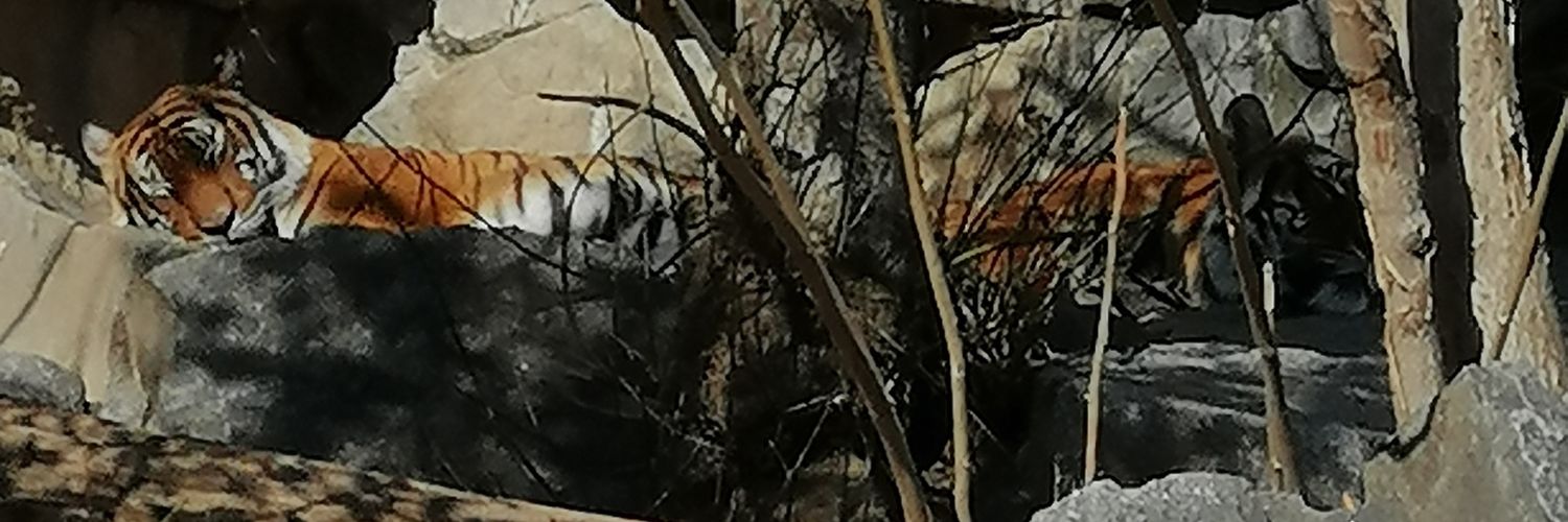 ivowegner's profile banner image