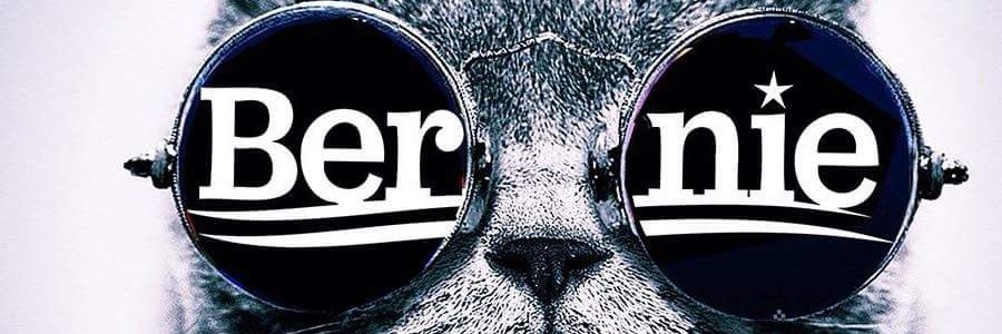 sparrowkitteh's profile banner image