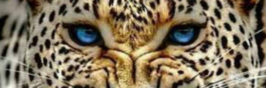 DavidPastor_23's profile banner image