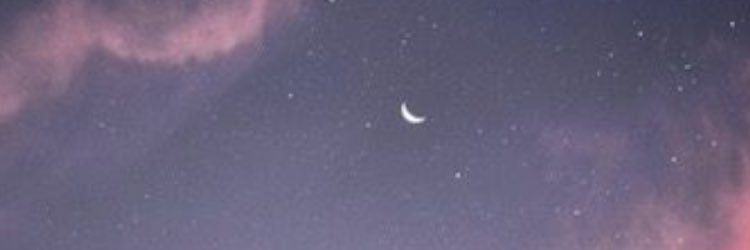 Barbie_981's profile banner image