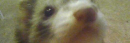 shmems92's profile banner image