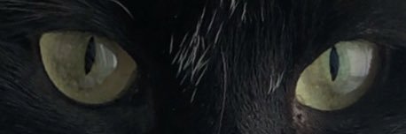Clombzz's profile banner image